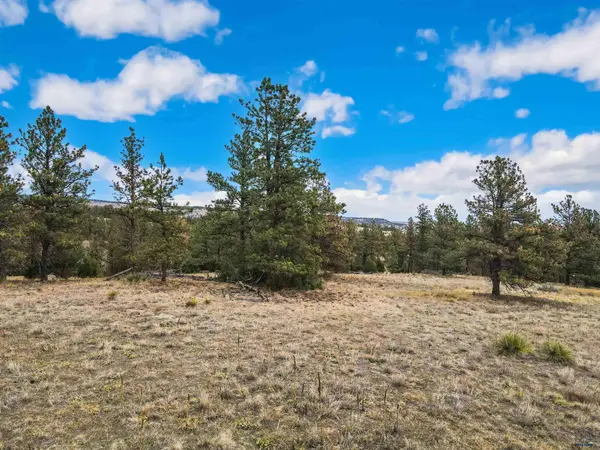 Lot 5 LAKE HILLS RD #Lot 5, Hot Springs, SD 57747