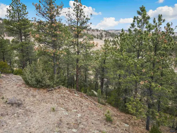 Lot 2 LAKE HILLS RD #Lot 2, Hot Springs, SD 57747