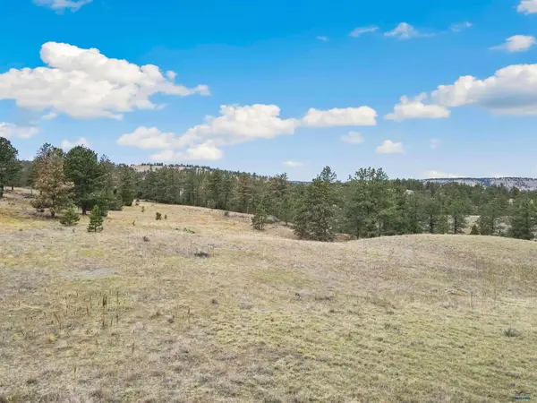 Lot 9 LAKE HILLS RD #Lot 9, Hot Springs, SD 57747
