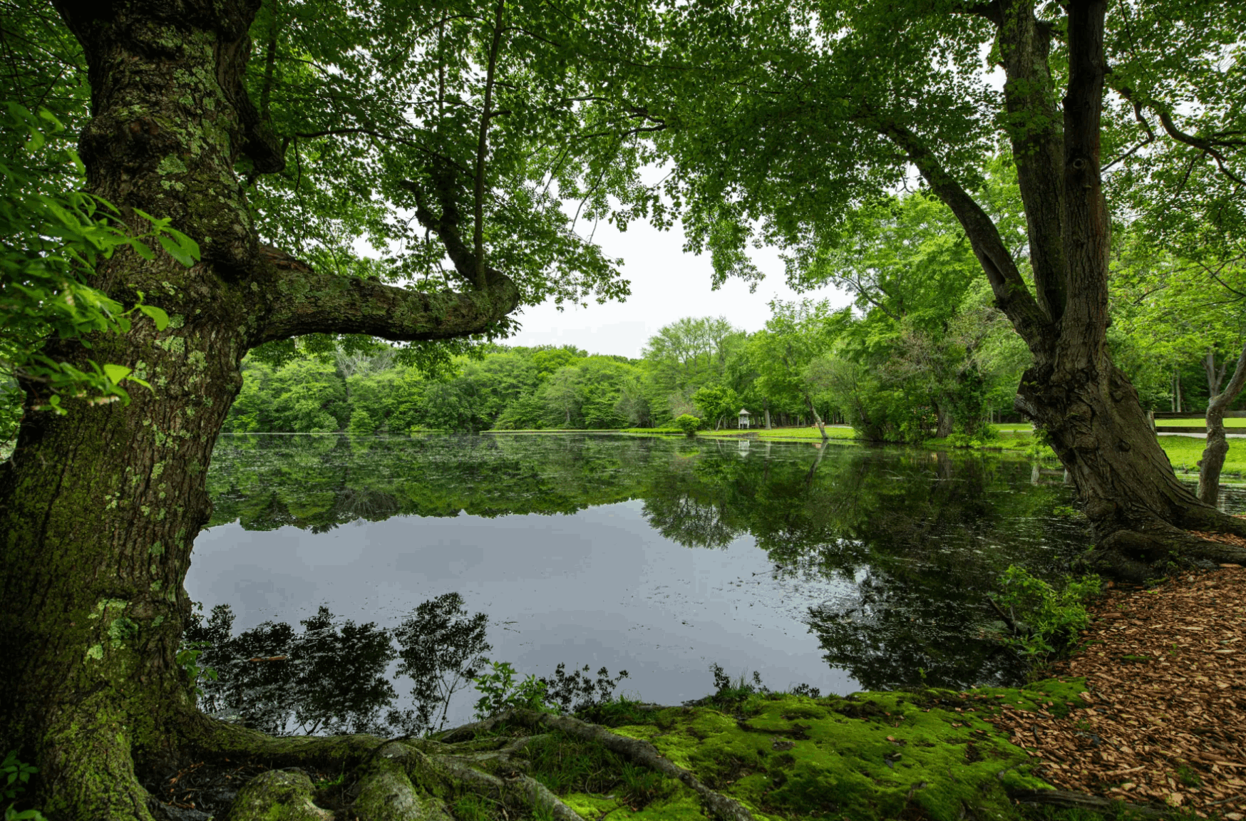 Smithtown