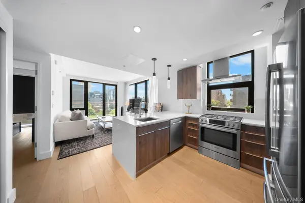4620 11th ST #5D, Long Island City, NY 11101