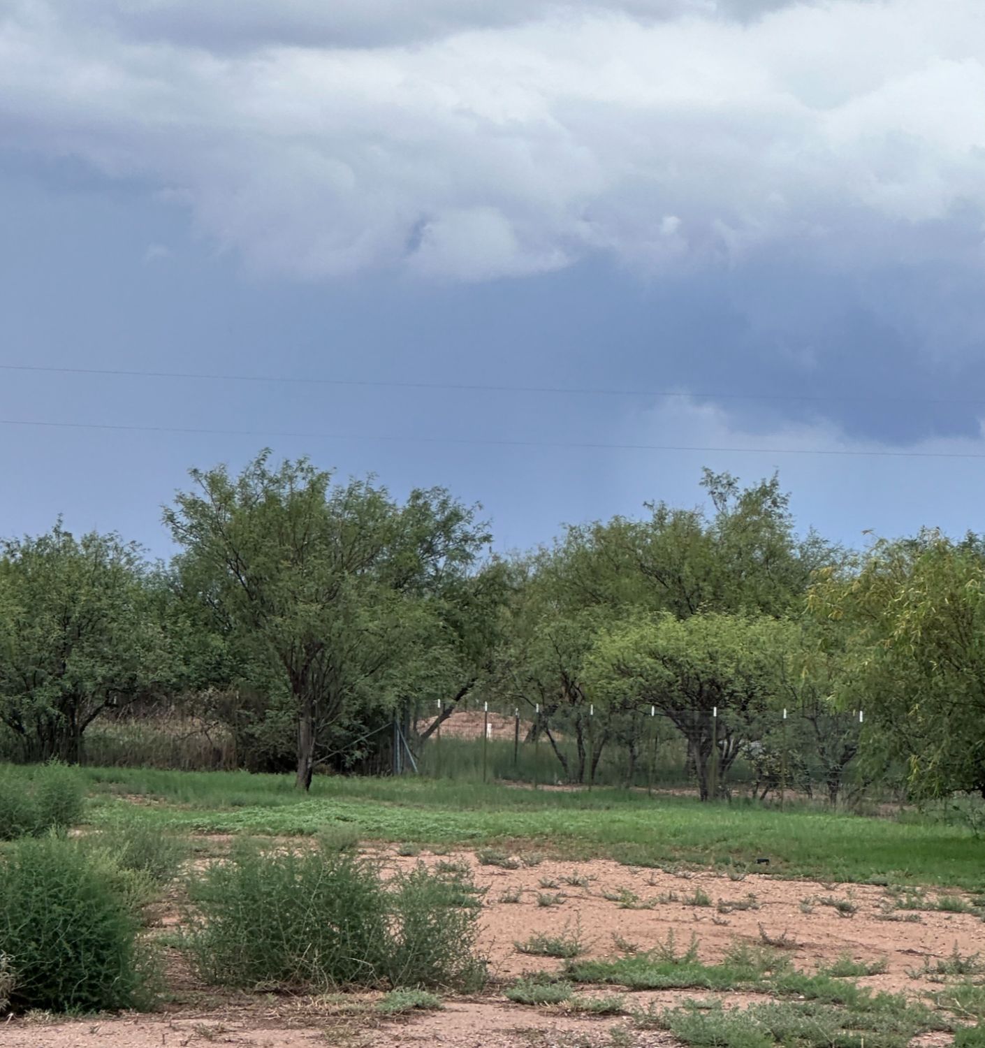 Quiet Arizona desert landscape at dusk near the Superstition Mountains