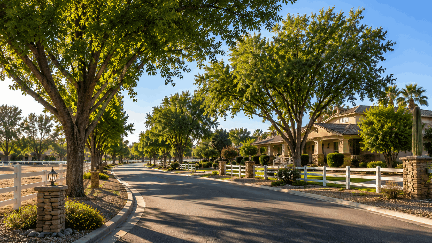 Illustration of a large lot home on a shaded semi rural street