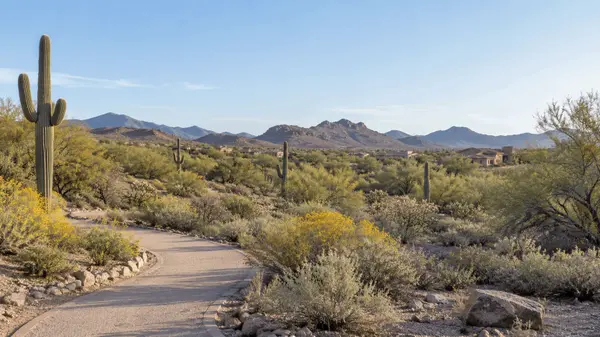 feature image of Luxury Real Estate Agent in Mesa AZ | Melissa Bailey | Real Broker