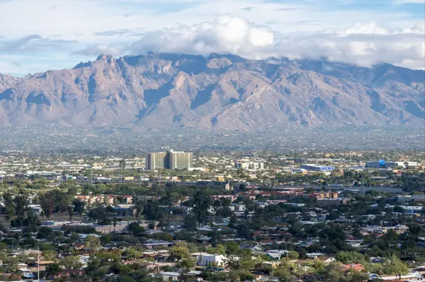 How to Choose the Right Real Estate Agent in Arizona