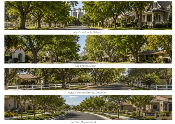 feature image of Craving a Tree Lined Street? 4 East Valley Neighborhoods That Deliver That Feel