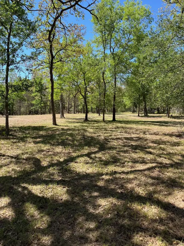 409 Bengals Bend, Somerville, TX 77879
