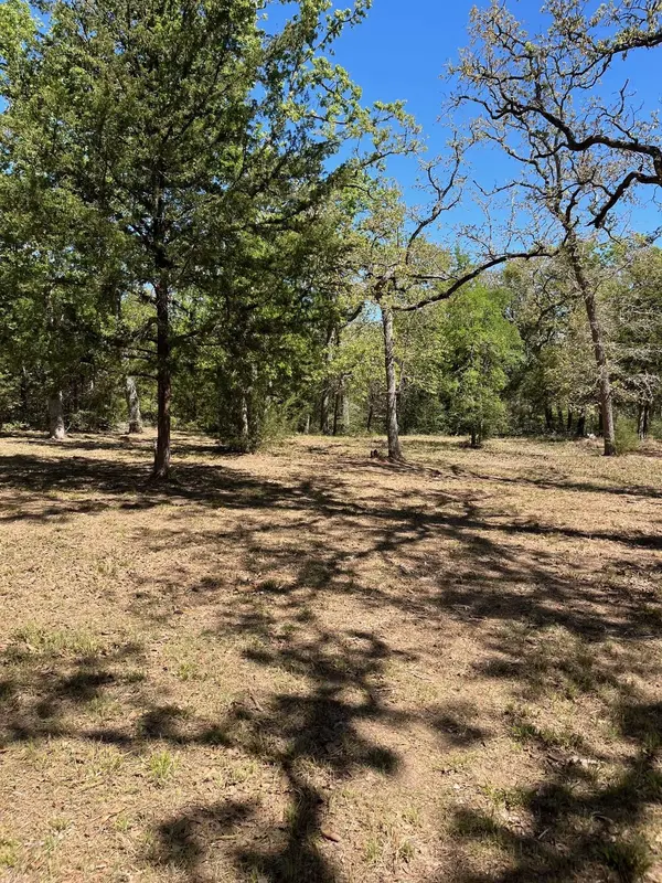 409 Bengals Bend, Somerville, TX 77879