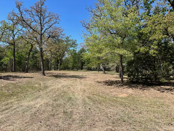 409 Bengals Bend, Somerville, TX 77879