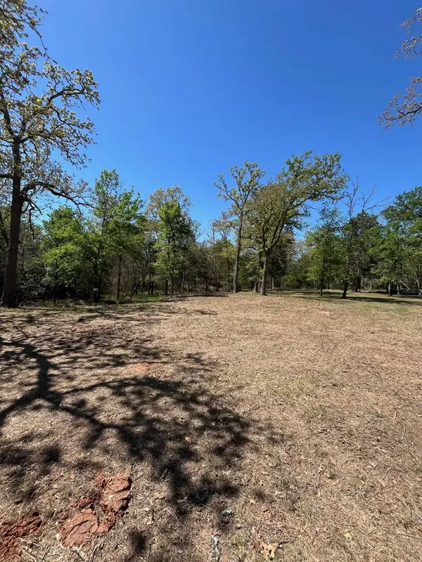 409 Bengals Bend, Somerville, TX 77879