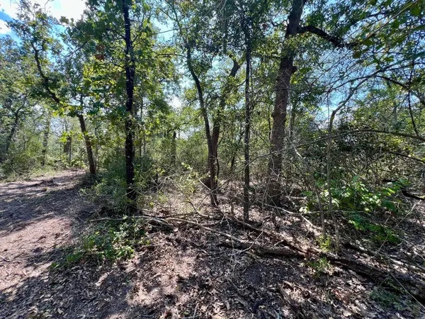 531 Moss Oak DR, Somerville, TX 77879