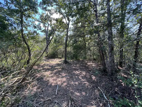 531 Moss Oak DR, Somerville, TX 77879