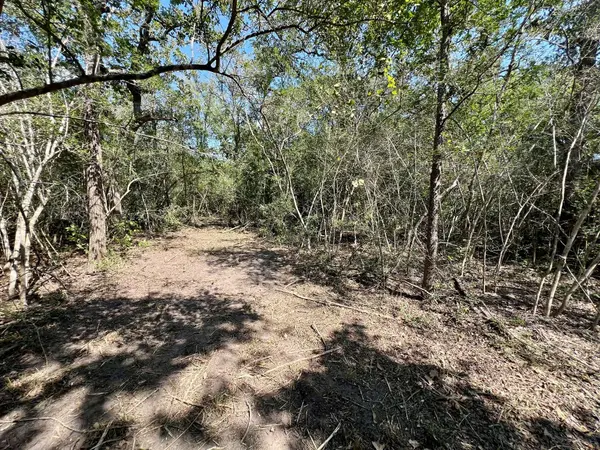531 Moss Oak DR, Somerville, TX 77879