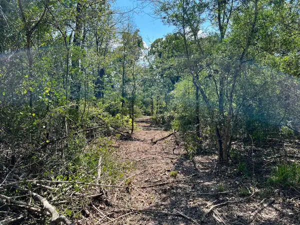 531 Moss Oak DR, Somerville, TX 77879