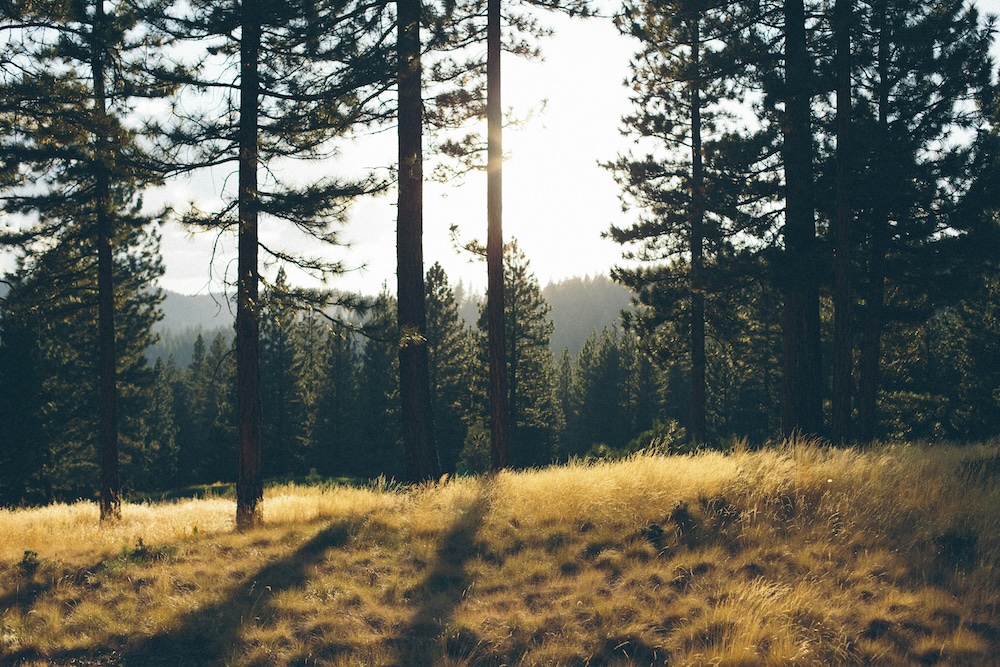 Mountains in the Sierra Nevada foothills near Nevada County, California