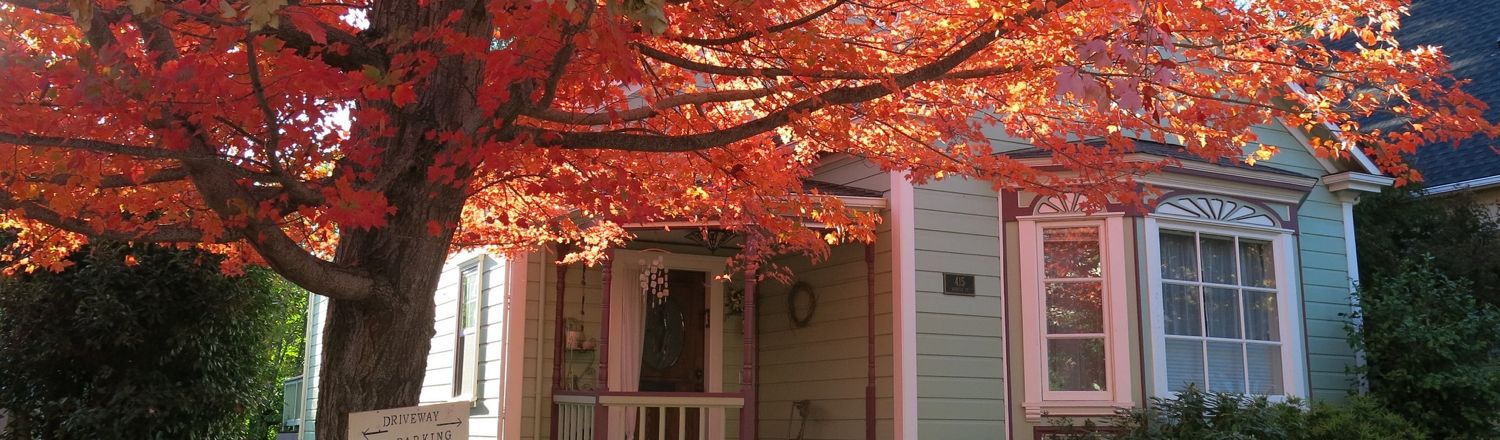 Nevada City CA historic street with fall colors and Gold Rush era buildings in the Sierra Foothills