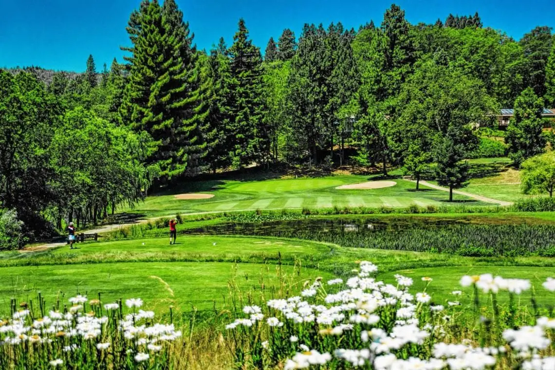 Nevada County alta sierra 