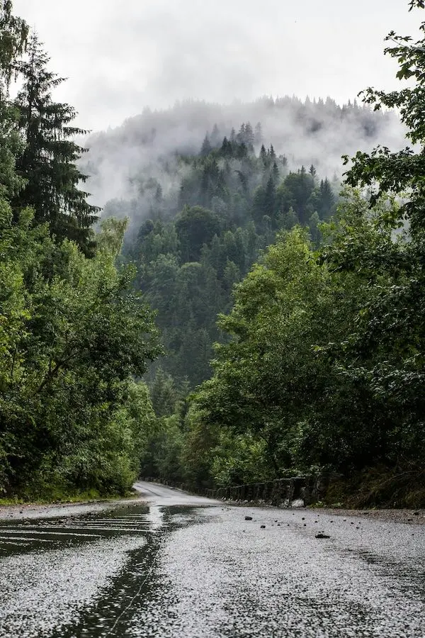 feature image of 4 Winter Prep Tasks to Finish in Nevada County Before the First Storm