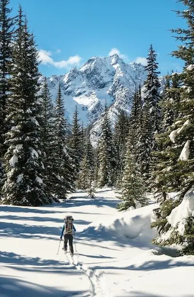 feature image of Does Nevada County Get Snow? What Newcomers Should Know Before Moving