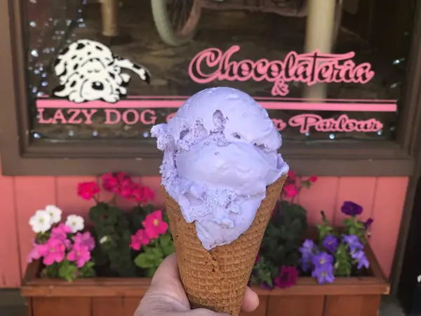 6 Summer Adventures the Whole Family Will Love in Nevada County,Bob Sawyer