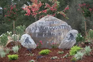 Moving from the Bay Area to Nevada County, CA
