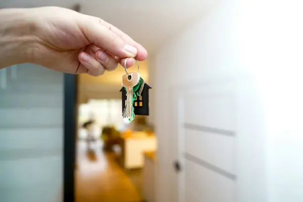 How to Choose the Right Real Estate Agent in Nevada County