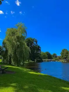 Lake Wildwood Homes For Sale