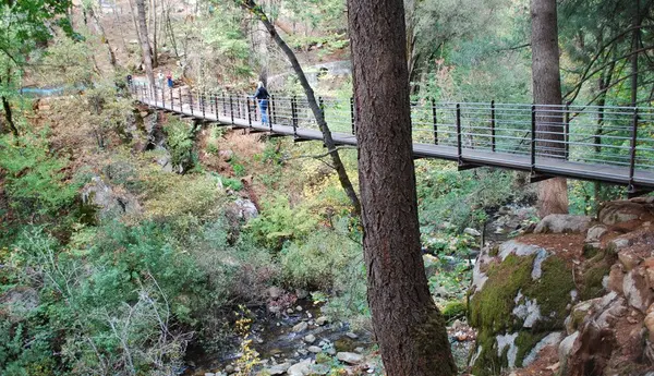 deer-creek-trail suspension-bridge
