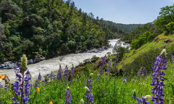 Relocating to Nevada County California: What Life in the Sierra Foothills Is Really Like,Bob Sawyer