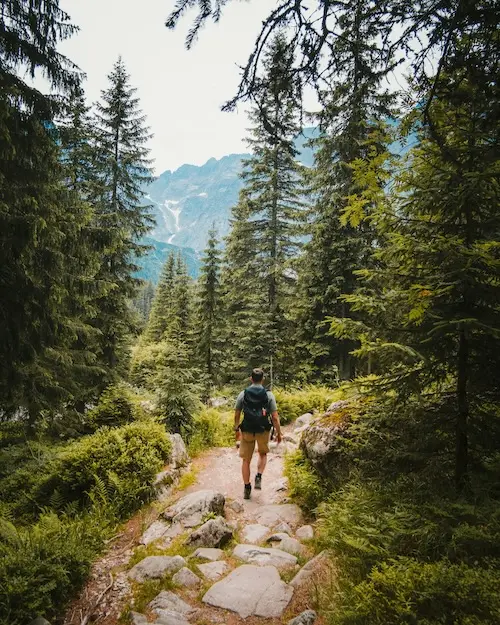Things to Do in Nevada County, CA: Outdoor Adventures and Community Life in the Sierra Foothills