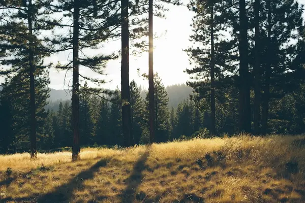 Hiking, Skiing, Rivers & Lakes: Your Complete Guide to Outdoor Recreation in Nevada County