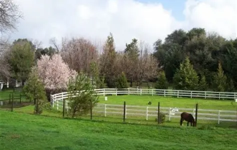 Penn Valley, CA: A Home Buyer's Guide to Real Estate in Western Nevada County