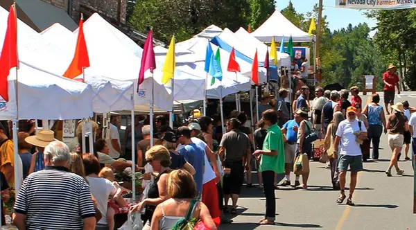 Summer in Nevada County: Events, Activities, and Why Families Love Life Here