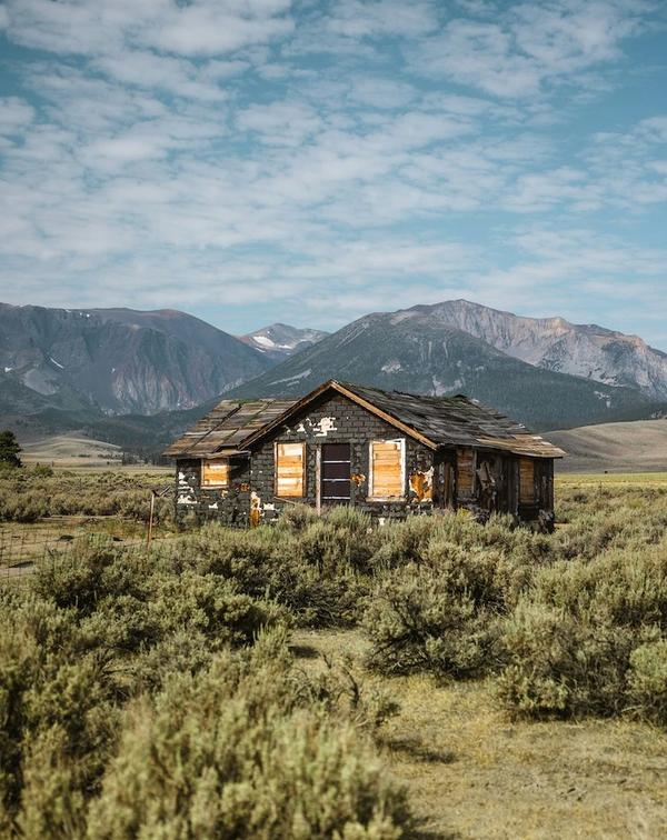 Sierra Foothills cabin tucked among pine trees, a common style for Nevada County short-term rentals