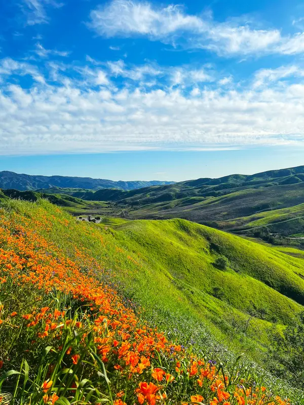 Nevada County vs. Truckee: Which Sierra Foothills Lifestyle Fits You