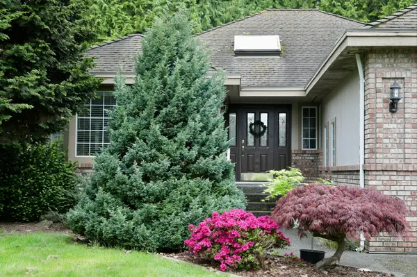 Curb Appeal Upgrades That Help Nevada County Homes Sell Faster