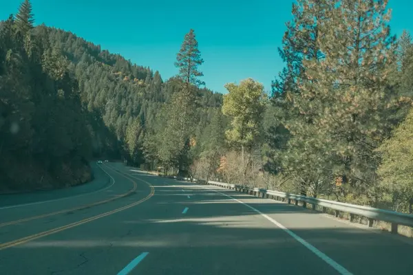Why Nevada County Homes Are Selling Twice as Fast This Year