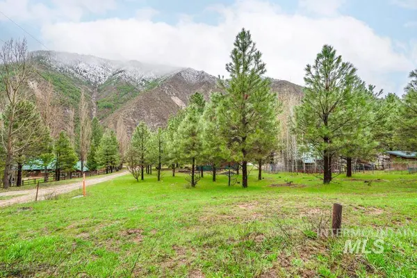 15 Sellman Dr, Lowman, ID 83637