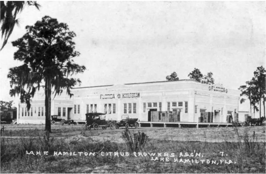 Lake Hamilton