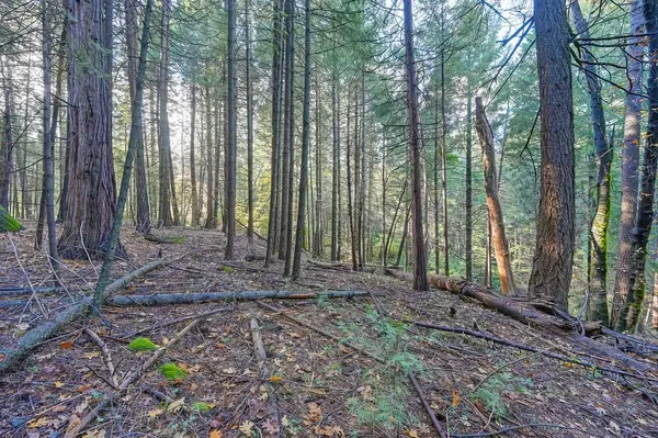 17534 Lightfoot Way, Nevada City, CA 95959-9132