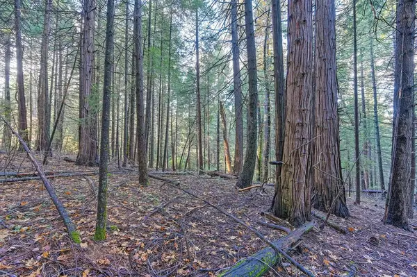 17534 Lightfoot Way, Nevada City, CA 95959-9132