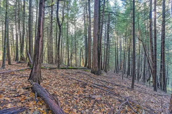 17534 Lightfoot Way, Nevada City, CA 95959-9132