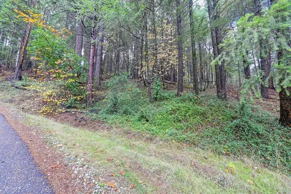 17534 Lightfoot Way, Nevada City, CA 95959-9132