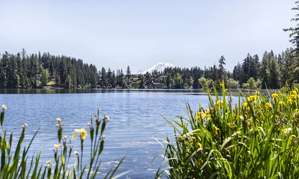 Maple Valley