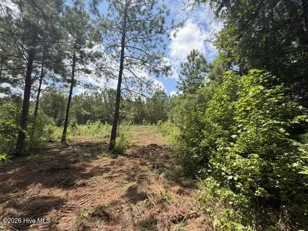 255 Menros WAY, Appling, GA 30802