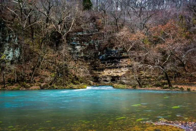 Blue Springs