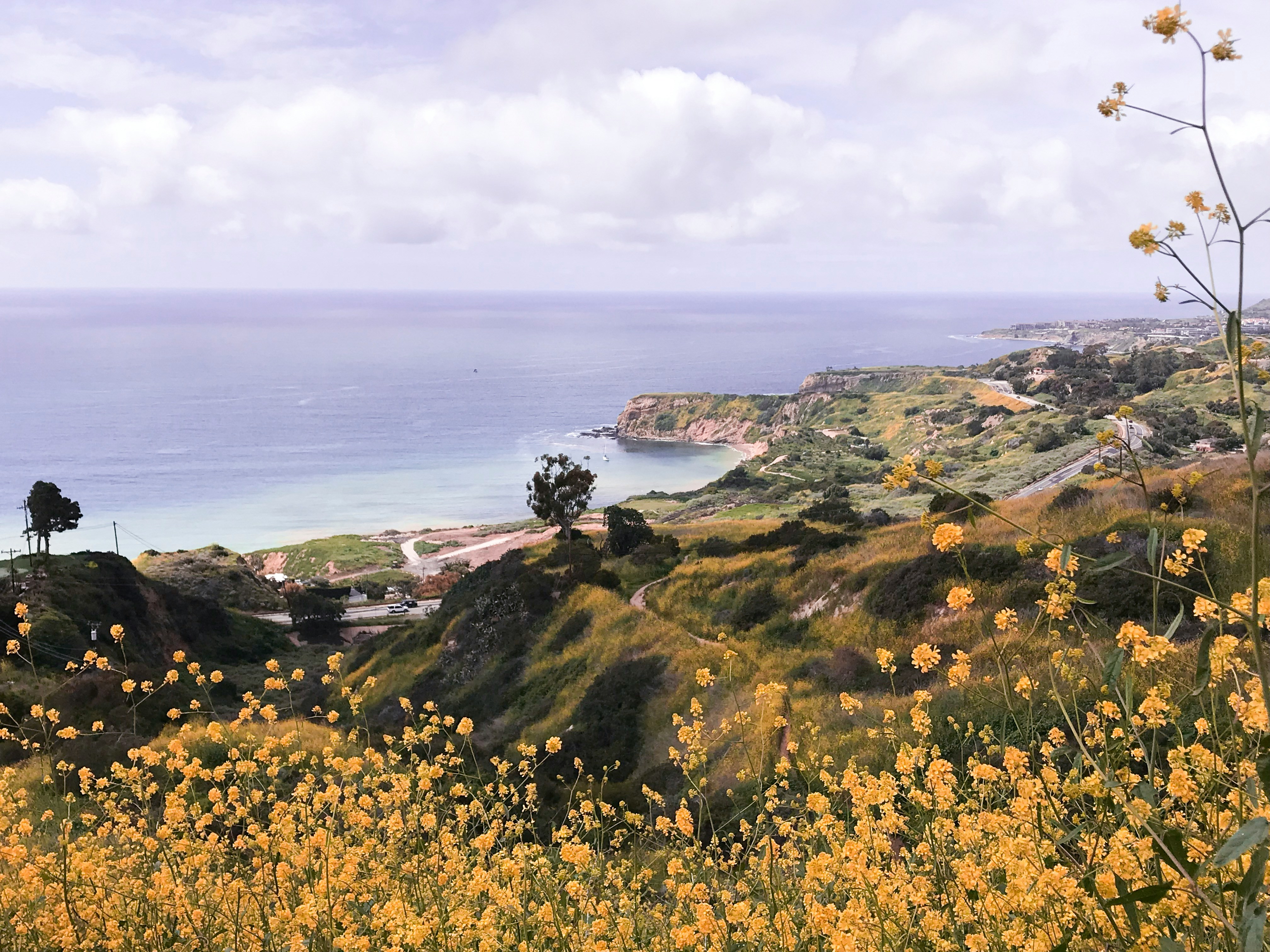 blog banner