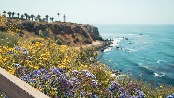 Is Rancho Palos Verdes Worth It With the Landslide?,Zoltan Peresztegi