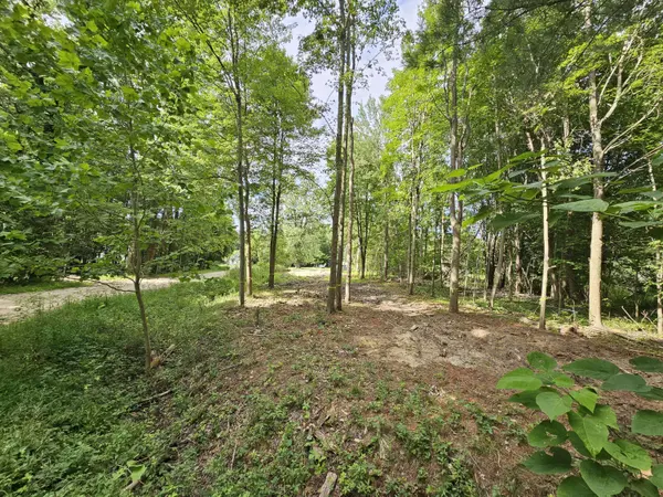 Miami Avenue, Grand Junction, MI 49056