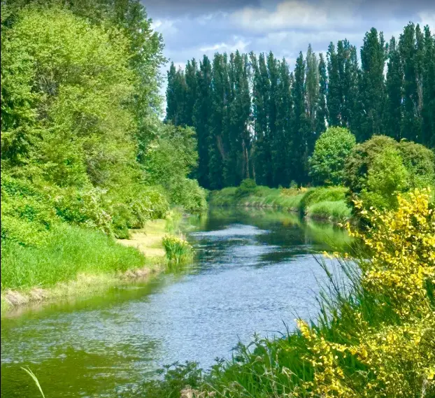 Redmond